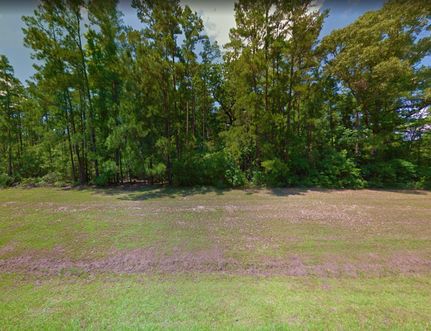 Undeveloped Land in Angelina County, Texas