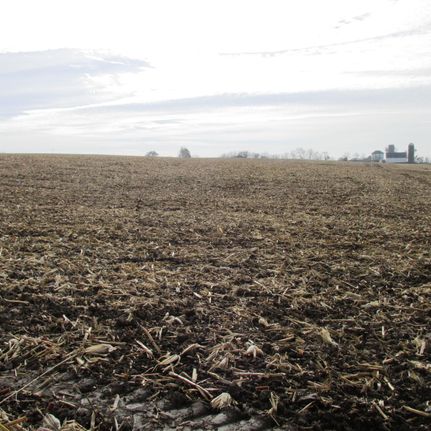 Farm and Ranch in Lee County, Illinois