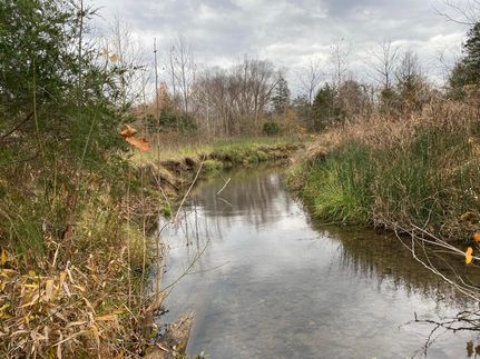 Timberland Property in Izard County, Arkansas