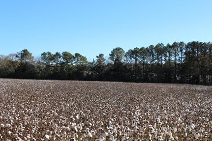 Farm and Ranch in Chambers County, Alabama