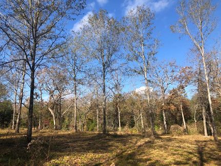 Recreational Property in Freestone County, Texas