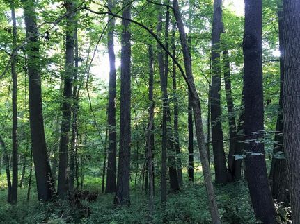 Farm and Ranch in Guernsey County, Ohio