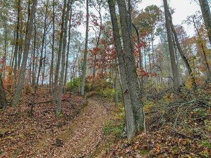 Recreational Property in Scioto County, Ohio