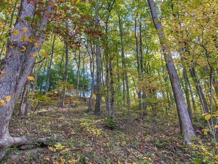 Timberland Property in Guernsey County, Ohio