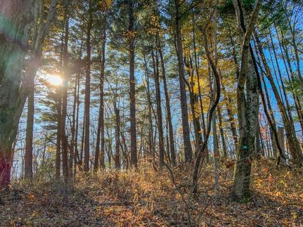 Timberland Property in Guernsey County, Ohio