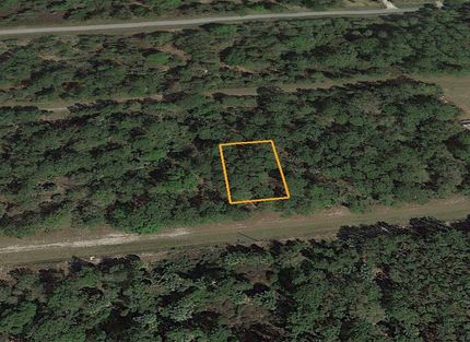 Undeveloped Land in Putnam County, Florida