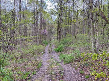 Undeveloped Land in Pike County, Ohio