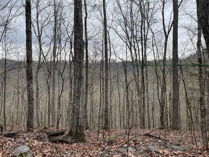 Land in Marshall County, Alabama