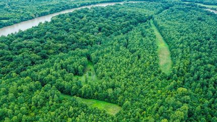 Riverfront Property in White County, Arkansas