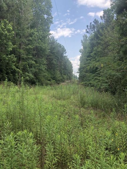 Hunting Property in Cherokee County, Texas