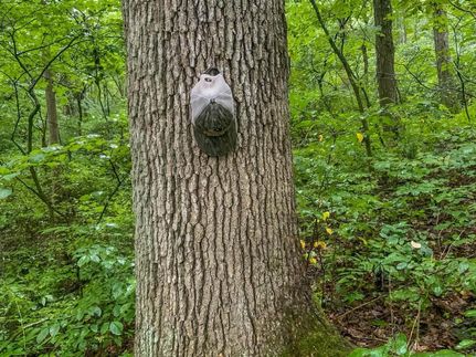 Recreational Property in Guernsey County, Ohio
