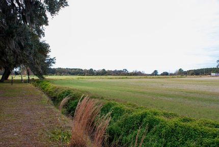 Timberland Property in Beaufort County, South Carolina