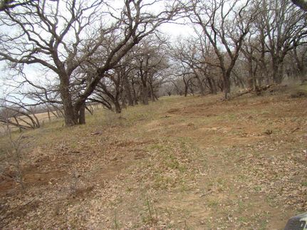 Recreational Property in Eastland County, Texas