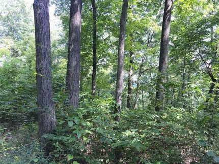 Recreational Property in Belmont County, Ohio