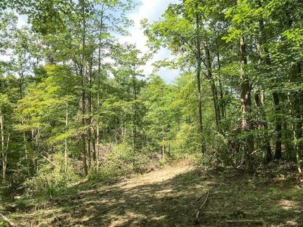 Undeveloped Land in Perry County, Ohio