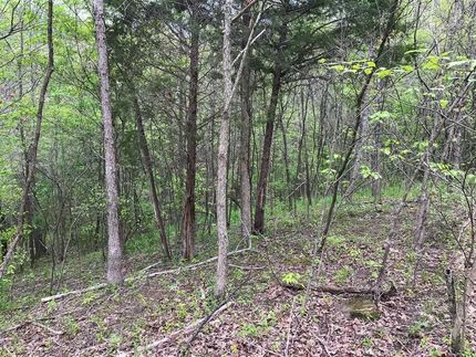 Recreational Property in Gallia County, Ohio