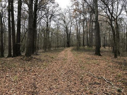 Farm and Ranch in Lee County, Arkansas