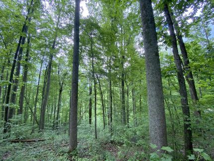 Lakefront Property in DeKalb County, Tennessee