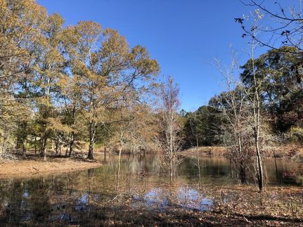 Hunting Property in Dodge County, Georgia