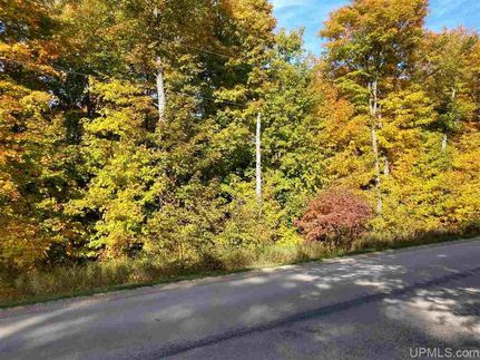 Land in Alger County, Michigan