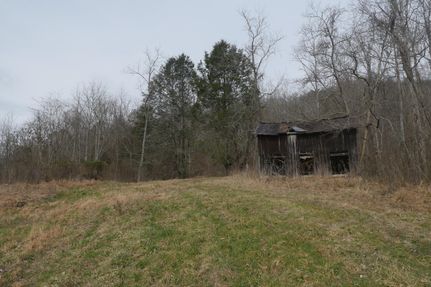 Farm and Ranch in Washington County, Virginia
