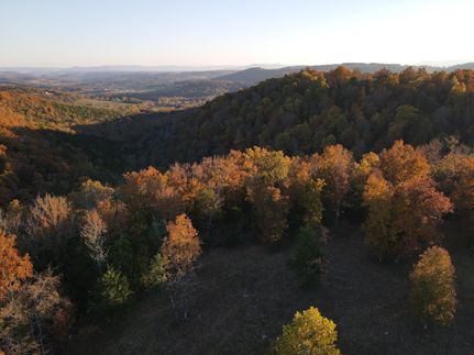 Timberland Property in Newton County, Arkansas