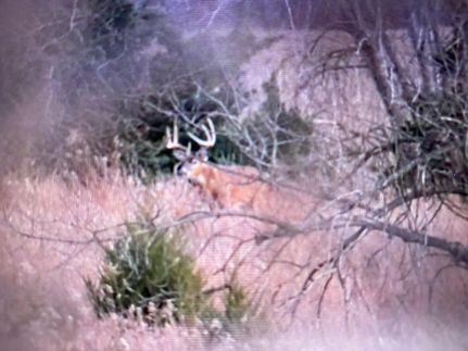 Timberland Property in Mercer County, Missouri