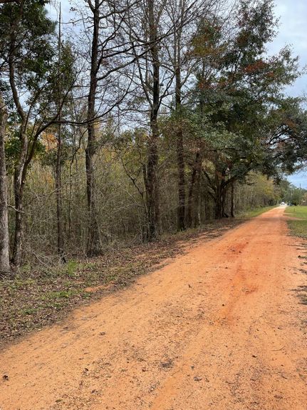 Farm and Ranch in Escambia County, Alabama
