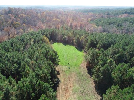 Farm and Ranch in Hale County, Alabama