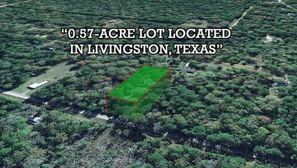 Recreational Property in Polk County, Texas