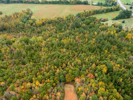 Timberland Property in Mecklenburg County, Virginia