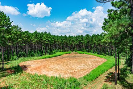 Recreational Property in Jones County, Georgia