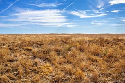 Hunting Property in Bent County, Colorado