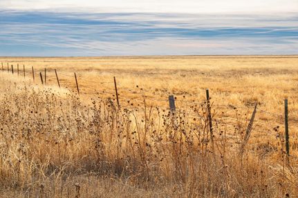 Farm and Ranch in Kiowa County, Colorado