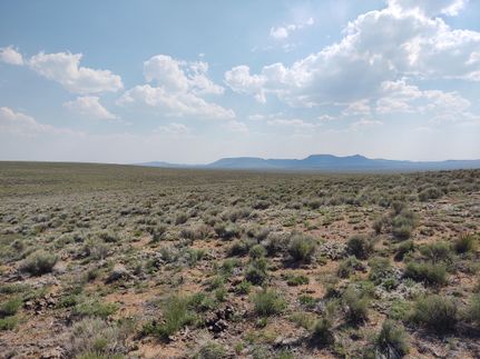 Farm and Ranch in Costilla County, Colorado
