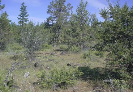 Farm and Ranch in Klamath County, Oregon