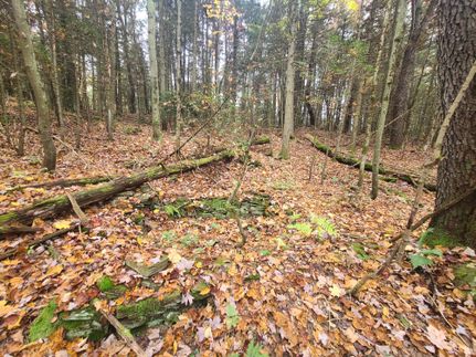 Commercial Property in Lewis County, New York