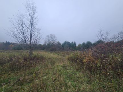 Commercial Property in Lewis County, New York