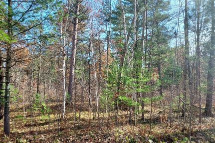 Farm and Ranch in Oneida County, Wisconsin