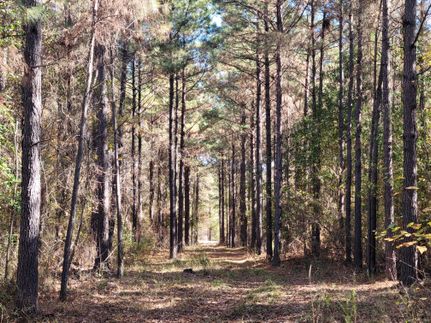 Farm and Ranch in Drew County, Arkansas