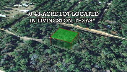 Timberland Property in Polk County, Texas
