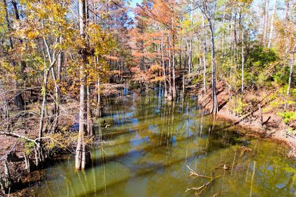 Recreational Property in Jasper County, Texas