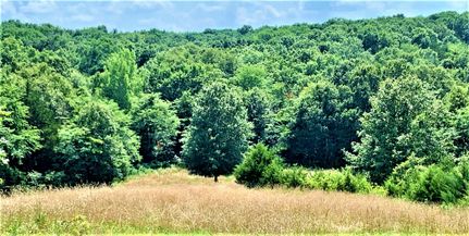 Undeveloped Land in Adair County, Missouri