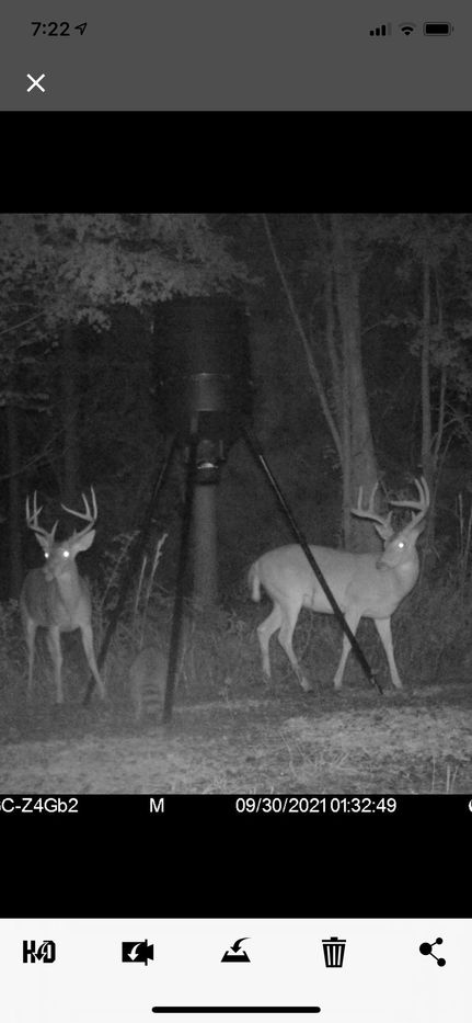 Farm and Ranch in Jasper County, Mississippi