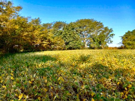 Hunting Property in Richardson County, Nebraska