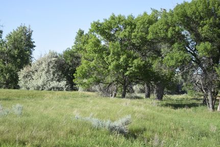 Farm and Ranch in Rosebud County, Montana