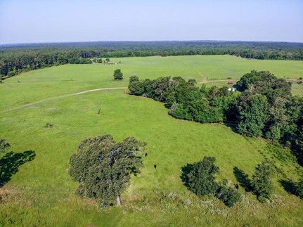 Undeveloped Land in Houston County, Texas