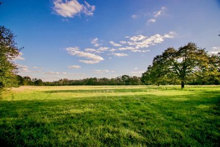 Undeveloped Land in Burleson County, Texas