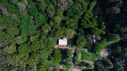 Timberland Property in Lincoln County, Tennessee