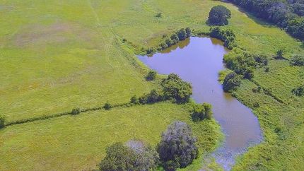 Timberland Property in Kaufman County, Texas